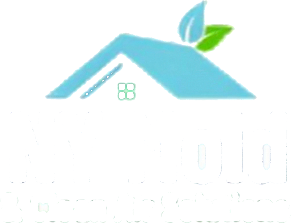 NY Mold & Clean Air Solutions