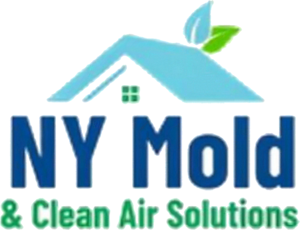 NY Mold & Clean Air Solutions
